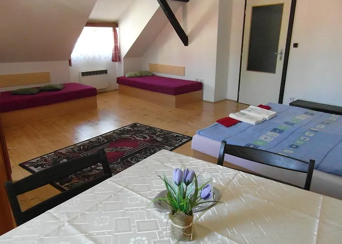 Pensjonat U Soudu Czeski Krumlow